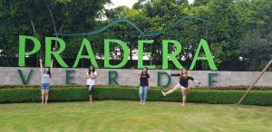 Pradera Verd